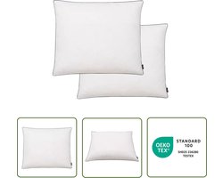 vidaXL Kussens Kopen - Donzen Kussens - Kussens 2 st zwaar 70x60 cm dons-/verenvulling wit - Kussens Online - Hoofdkussen - Nekkussen