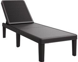vidaXL - Ligbed - in - 4 - standen - verstelbaar - 155,5x57x28 - cm - polypropeen