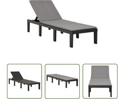 vidaXL Lounge Stoel - Ligbed - Ligbed met kussen kunststof antracietkleurig - Tuinset - Buitendecoratie - Loungebed