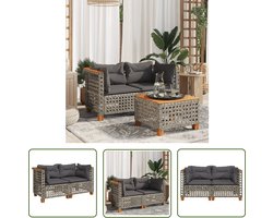 vidaXL Lounge Stoel - Tuinbank - Tuinhoekbanken 2 st met kussens poly rattan grijs - Buitendecoratie - Outdoor Furniture - Patio Set