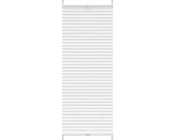 vidaXL - Plisséjaloezie - 50x150 - cm - wit
