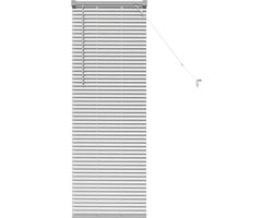 vidaXL - Raamjaloezie - met - gordijnen - Zilver - Aluminium