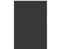 vidaXL - Rolgordijn - verduisterend - 115x150 - cm - stofbreedte - 110,7 - cm - zwart