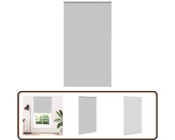vidaXL Rolgordijn Verduisterend - 125x210 cm - Lichtgrijs Rolgordijn - Verduisterend Gordijn - Lichtwerende Gordijnen - Interieur Decoratie - Woonkamer Gordijn