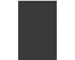 vidaXL - Rolgordijn - verduisterend - 155x210 - cm - stofbreedte - 151,6 - cm - zwart