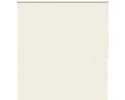 vidaXL - Rolgordijn - verduisterend - 164,4 - x - 175 - cm - stofbreedte - 160 - cm - gebroken - wit