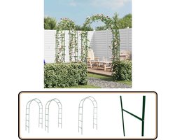 vidaXL Tuinbogen - 2 stuks - IJzer - Donkergroen Tuin Bogen - Rozenboog - Tuiboog - Plantenrek - Klimopsteun