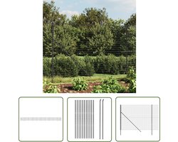vidaXL Tuinhaard - Draadgaashek - Draadgaashek 2,2x25 m gegalvaniseerd staal antracietkleur - Privacy Scherm - Buitendecoratie - Tuinverlichting