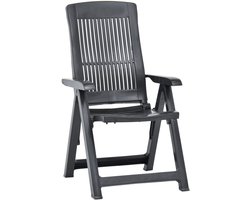 vidaXL Tuinstoelen 2 st verstelbaar kunststof Tuinstoelen - Lounge Stoelen - Buistuinstoelen - Buiten Meubilair - Tuinset