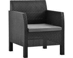 vidaXL Tuinstoelen met kussens - Antraciet - Set van 2 Tuinstoel - Lounge Stoel - Buitensteun - Tuinset - Outdoor Furniture