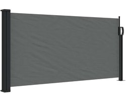 vidaXL - Uitschuifbaar - zijluifel - antraciet - 100x300 - cm