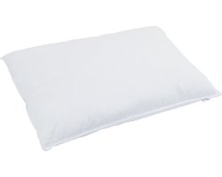 vidaXL - Winter - Duvet - met - kussen - 2 - pcs - Wit - Donsveer