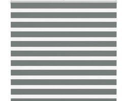 vidaXL - Zebra - rolgordijn - 165x100 - cm - stofbreedte - 160,9 - cm - donkergrijs