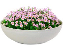 Vintage Decoratieve Plantenschaal voor Buiten - Beige-Grijs Gemarmerd, 30x9 cm