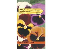 Viola, Viool Zwitserse Reuzen gemengd