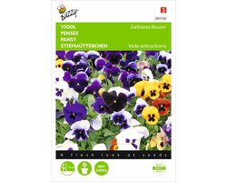 Viool Zwitserse Reuzen - Viola wittrockiana