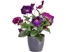 Viooltje, 9 bloemen (7x Ø 7cm en 2x Ø 2,5cm), 28cm
