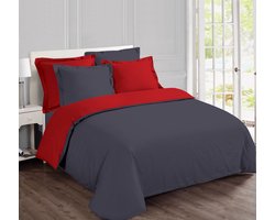 VISION Bicolor - Tweezijdig omkeerbaar Dekbedovertrekset - 100% katoen: zacht en soepel - Eenpersoons - Dekbedovertrek 140 x 200 cm met 1 bijhorende sloop - Grijs / Rood - Oekotex gecertificeerd
