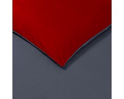 VISION Bicolor - Tweezijdig omkeerbaar Dekbedovertrekset - 100% katoen: zacht en soepel - Kingsize - Dekbedovertrek 260 x 240 cm met 2 bijhorende slopen - Grijs / Rood - Oekotex gecertificeerd