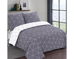 VISION Hugo Flanel - Tweezijdig omkeerbaar Dekbedovertrekset - 100% katoen flanel: warm en zacht - Kingsize - Dekbedovertrek 260 x 240 cm met 2 bijhorende slopen - Grijs / Wit - Oekotex gecertificeerd
