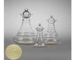 Vitaalwaterkaraf Golden Delicate met BDL goud - Glas - Goud - 500