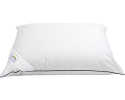 Vitality Pur Anti-Allergisch Hoofdkussen – 40x80 cm - 100% Anti-Huisstofmijt & Bacteriën – Zacht & Comfortabel – Voor Alle Slaaphoudingen