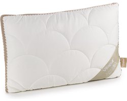 Vitapur Kinderkussen - Peuter hoofdkussen - Hoofdkussen - Bamboe Hoofdkussen - In hoogte verstelbaar - Wasbaar - 40x60 cm