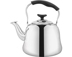 Vitdipy - Theepot - 2 Liter - Dubbelwandige theepot - RVS Theekan met Filte - Theepot voor op het fornuis - Spiegelgepolijst - Zilver
