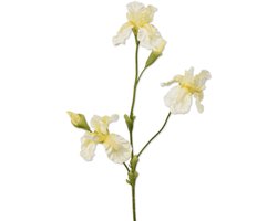 Viv! Home Luxuries Iris - zijden bloem - wit geel - 102cm