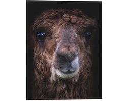 Vlag - Bruine Alpaca - 30x40 cm Foto op Polyester Vlag