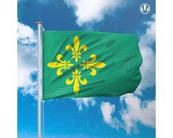 Vlag Midden-Drenthe 150x225cm