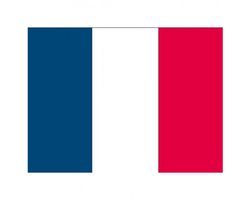Vlag van Frankrijk stickers - 7 x 10 cm - La France - Franse vlaggetjes - versiering - feestartikelen