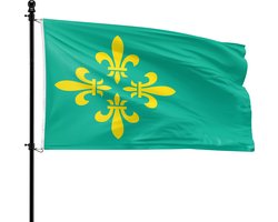 VlagDirect - Midden-Drenthe vlag - Gemeente Midden-Drenthe vlag - 90 x 150 cm.