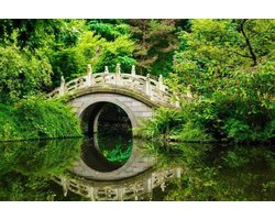 Vliesfotobehang Fotobehang 7 Banen, Japanse tuin  Art. 18041