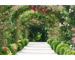 Vliesfotobehang Fotobehang 7 Banen, Rozen Tuin Art. 18012