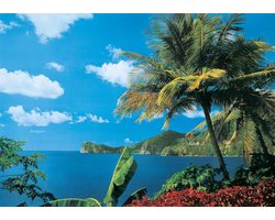 Vliesfotobehang Fotobehang 7 Banen, St. Lucia Art. 18308