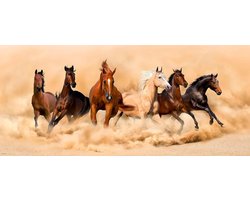 Vliesfotobehang - Muurdecoratie - Muren Versieren - Hoge Kwaliteit Print - 202 x 90 cm - Multicolor