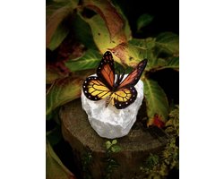 Vlinder MASSIEF BRONS oranje op rotssteen 12 cm hoog - bronzen beeld - tuinbeeld - grafzerkdecoratie - hoogkwalitatief brons - decoratiefiguur - interieur - accessoire - voor binnen - voor buiten - cadeau - geschenk - kerst - nieuwjaar - verjaardag