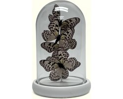 Vlinder stolp wit