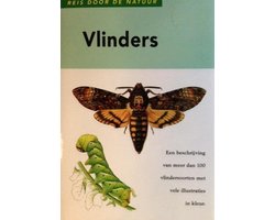 Vlinders