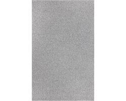 Vloerkleed voor binnen en buiten, Antislip - Uni Zilver Grijs - 200cm x 280cm - Balkon Terras Keuken, UV- en Weersbestendig, Modern Tuintapijt