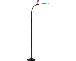 Vloerlamp met twee koppen