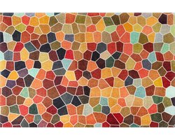 Voetmat - Deurmat Vloermat - Hygiënisch Huis - Wasbaar tot 60 graden - 110x175cm - Kleurrijk