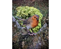 Vogel klein Roodborst 9 cm hoog - ware grootte - levensecht - polyester - polystone - beeld - tuinbeeld - hoogkwalitatieve kunststof - decoratiefiguur - interieur - accessoire - voor binnen - voor buiten - cadeau - geschenk - vogelliefhebber