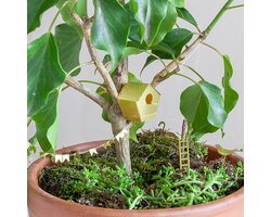 Vogelhuisje Kamerplant - Piepklein vogelhuisje voor je planten - Tiny Birdhouse Messing - Cadeau Plantenliefhebber