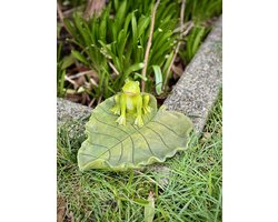Vogelvoederblad met kikker groen 8 cm hoog - lentecollectie - zomercollectie - polyresin - polystone - hoogkwalitatieve kunststof - decoratiefiguur - interieur - accessoire - voor binnen en buiten - cadeau - geschenk - tuinfiguur - tuinbeeldje - tuin