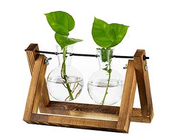 Voortplantingsstation voor Planten met Houten Standaard en Glazen Pot - Vintage Tafeldecoratie