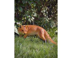 Vos staand 2 ass links 23 cm hoog - polyester - polystone - zomercollectie - herfstcollectie - beeld - tuinbeeld - hoogkwalitatieve kunststof - decoratiefiguur - interieur - accessoire - voor binnen - voor buiten - cadeau - geschenk