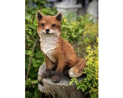 Vos zittend middel 32 cm hoog - levensecht - polyester - polyresin - polystone - hoogkwalitatieve kunststof - decoratiefiguur - interieur - accessoire - voor binnen en buiten - cadeau - geschenk - tuinfiguur - tuinbeeldje - tuindecoratie