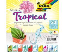 Vouwblaadjes folia 80gr 15x15cm 50v 2z tropical